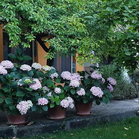 L'Antica Cantina Usini Zewnętrze zdjęcie