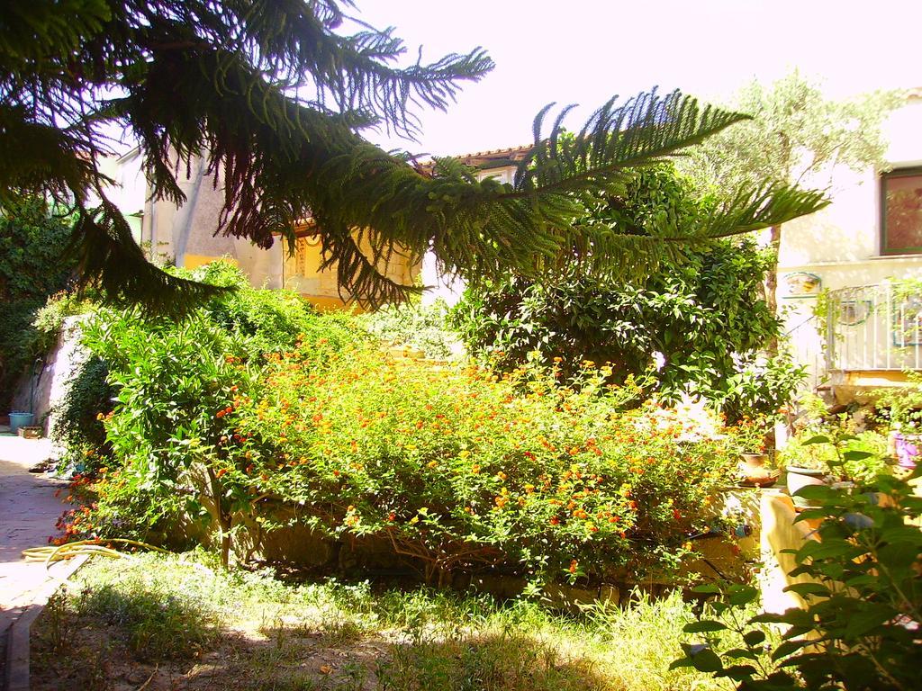 L'Antica Cantina Usini Zewnętrze zdjęcie
